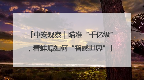 中安观察｜瞄准“千亿级”，看蚌埠如何“智感世界”