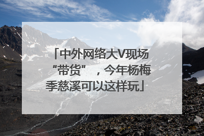 中外网络大V现场“带货”，今年杨梅季慈溪可以这样玩