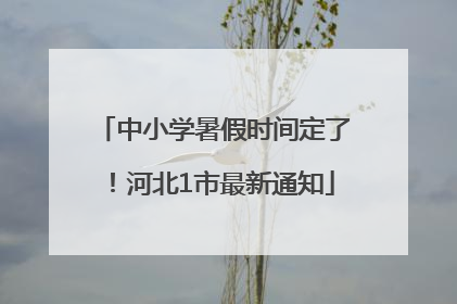 中小学暑假时间定了！河北1市最新通知