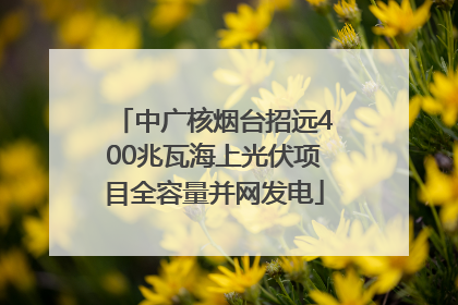 中广核烟台招远400兆瓦海上光伏项目全容量并网发电