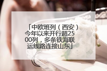 中欧班列（西安）今年以来开行超2500列，多条铁海联运线路连接山东