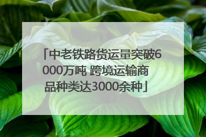 中老铁路货运量突破6000万吨 跨境运输商品种类达3000余种