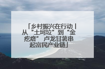 乡村振兴在行动丨从“土坷垃”到“金疙瘩” 卢龙甘薯串起富民产业链
