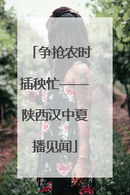 争抢农时插秧忙——陕西汉中夏播见闻