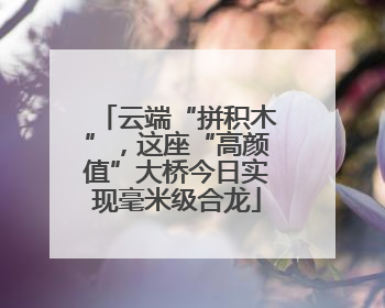 云端“拼积木”，这座“高颜值”大桥今日实现毫米级合龙