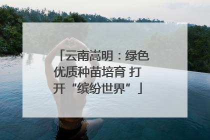云南嵩明：绿色优质种苗培育 打开“缤纷世界”