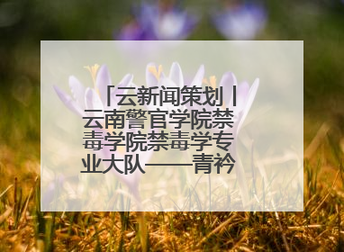 云新闻策划丨云南警官学院禁毒学院禁毒学专业大队——青衿之志辉映警徽