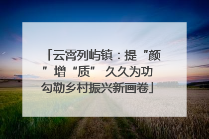 云霄列屿镇：提“颜”增“质” 久久为功勾勒乡村振兴新画卷