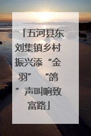 五河县东刘集镇乡村振兴添“金羽” “鸽”声叫响致富路