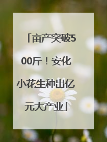 亩产突破500斤！安化小花生种出亿元大产业