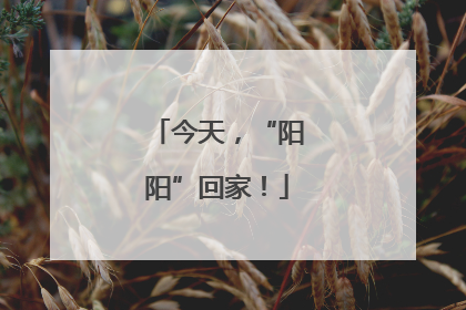 今天，“阳阳”回家！