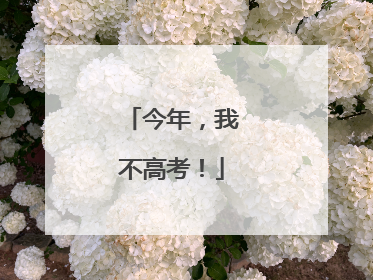 今年，我不高考！