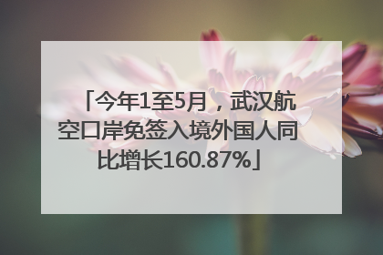 今年1至5月，武汉航空口岸免签入境外国人同比增长160.87%