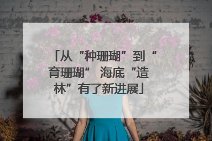 从“种珊瑚”到“育珊瑚” 海底“造林”有了新进展