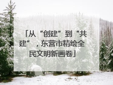 从“创建”到“共建”，东营市精绘全民文明新画卷