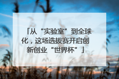 从“实验室”到全球化，这场选拔赛开启创新创业“世界杯”