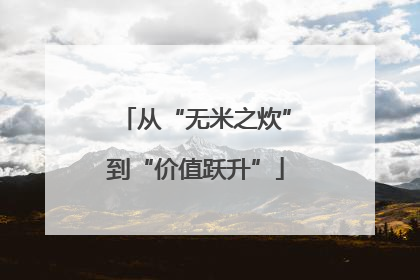 从“无米之炊”到“价值跃升”
