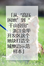 从“高压困地”到“千亩良田”：浙江金华开发区这个地块打造全域整治示范样本