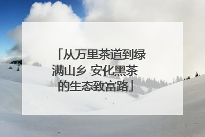 从万里茶道到绿满山乡 安化黑茶的生态致富路