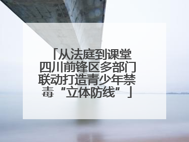 从法庭到课堂 四川前锋区多部门联动打造青少年禁毒“立体防线”