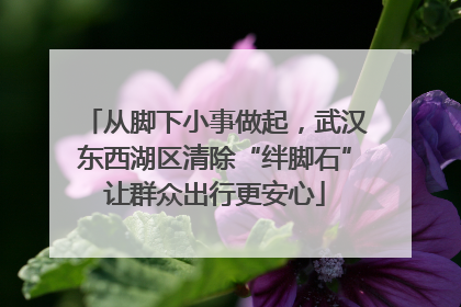 从脚下小事做起，武汉东西湖区清除“绊脚石”让群众出行更安心
