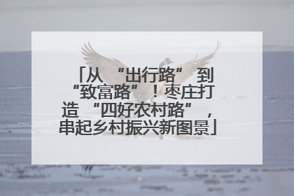 从 “出行路” 到 “致富路”！枣庄打造 “四好农村路”，串起乡村振兴新图景