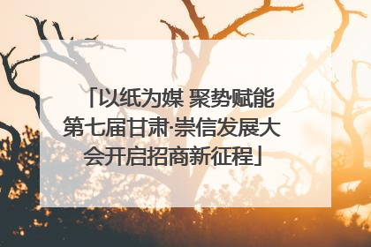 以纸为媒 聚势赋能 第七届甘肃·崇信发展大会开启招商新征程