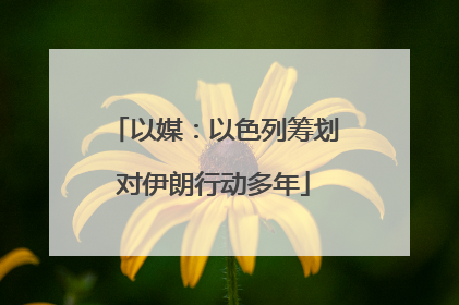 以媒：以色列筹划对伊朗行动多年