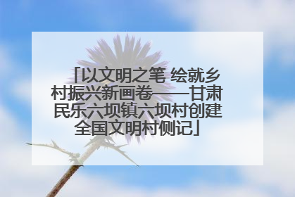 以文明之笔 绘就乡村振兴新画卷——甘肃民乐六坝镇六坝村创建全国文明村侧记