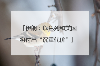 伊朗：以色列和美国将付出“沉重代价”