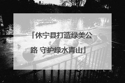 休宁县打造绿美公路 守护绿水青山