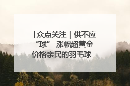 众点关注｜供不应“球” 涨幅超黄金 价格亲民的羽毛球为何身价飞涨？
