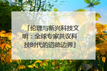 伦理与新兴科技文明：全球专家共议科技时代的道德边界