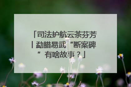 司法护航云茶芬芳丨勐腊易武“断案碑”有啥故事？