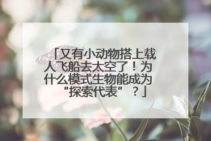 又有小动物搭上载人飞船去太空了！为什么模式生物能成为“探索代表”？