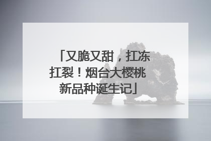 又脆又甜，扛冻扛裂！烟台大樱桃新品种诞生记