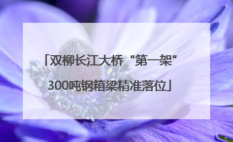 双柳长江大桥“第一架” 300吨钢箱梁精准落位