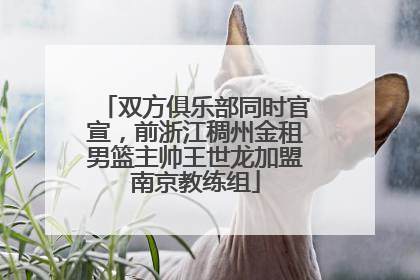 双方俱乐部同时官宣，前浙江稠州金租男篮主帅王世龙加盟南京教练组