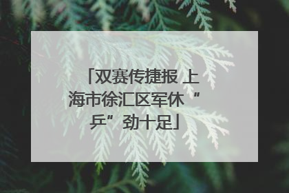 双赛传捷报 上海市徐汇区军休“乒”劲十足