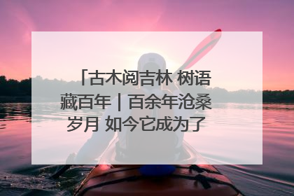 古木阅吉林 树语藏百年｜百余年沧桑岁月 如今它成为了“镇园之宝”
