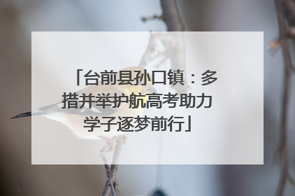 台前县孙口镇：多措并举护航高考助力学子逐梦前行