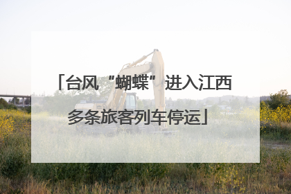台风“蝴蝶”进入江西 多条旅客列车停运
