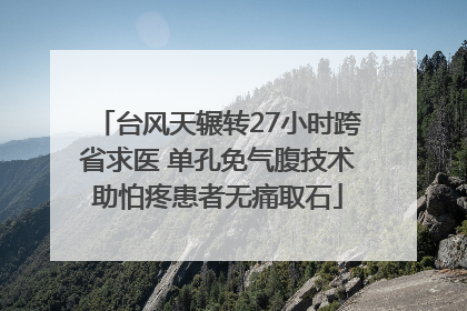 台风天辗转27小时跨省求医 单孔免气腹技术助怕疼患者无痛取石