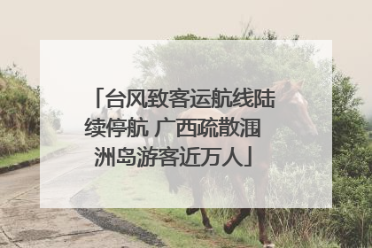 台风致客运航线陆续停航 广西疏散涠洲岛游客近万人