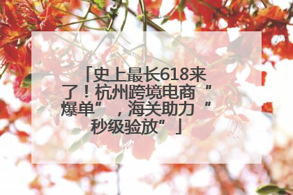 史上最长618来了！杭州跨境电商“爆单”，海关助力“秒级验放”