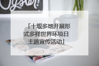 十堰多地开展形式多样世界环境日主题宣传活动
