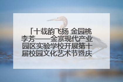 十载韵飞扬 金园桃李芳——金寨现代产业园区实验学校开展第十届校园文化艺术节暨庆“六一”系列活动