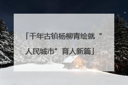 千年古镇杨柳青绘就“人民城市”育人新篇
