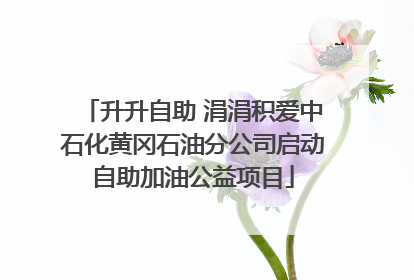 升升自助 涓涓积爱中石化黄冈石油分公司启动自助加油公益项目