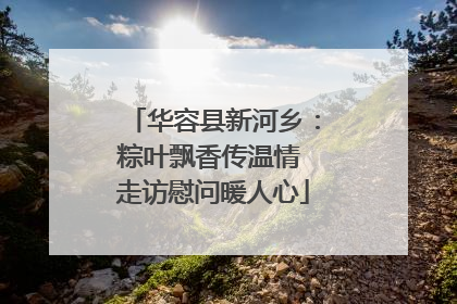 华容县新河乡：粽叶飘香传温情 走访慰问暖人心